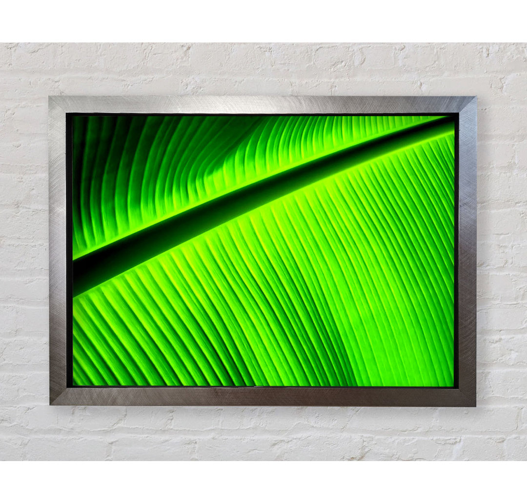 Light Of The Green Leaf - Einzelner Bilderrahmen Kunstdrucke