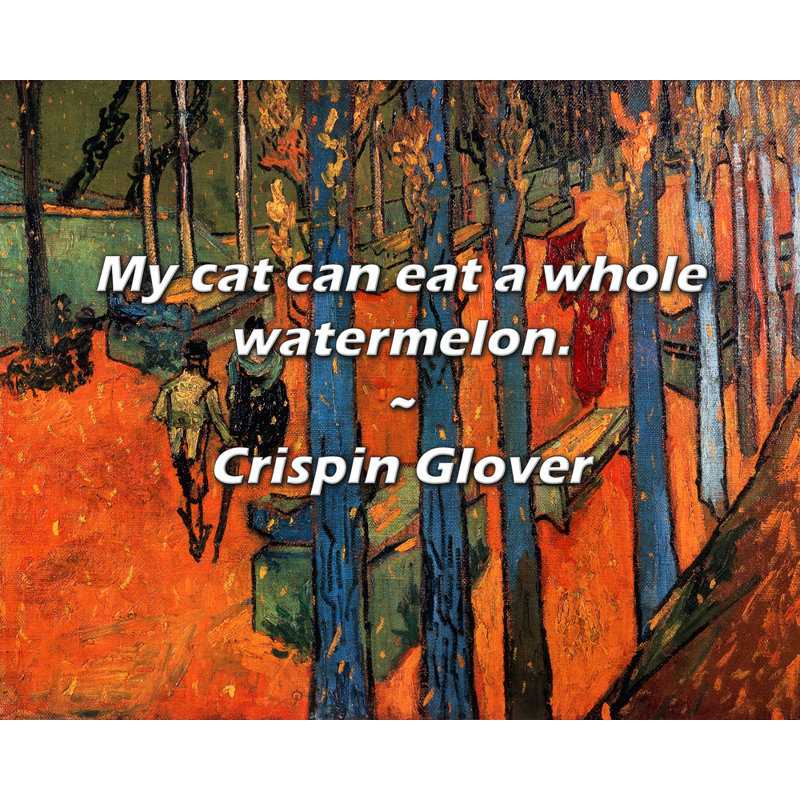 Citation de Crispin Glover: Mon chat peut manger une pastèque entière., H 26 po x l 32 po