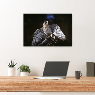 Tethered Peregrine Falcon Falco Peregrinus Northern Hemisphere High Desert Museum Oregon Abstract Contemporary Bird Architecture Landscape Wall Art
