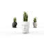 Adan Resin Statue Planter-49045082-49045084