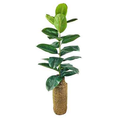 55 " H Faux Rubber Tree Wicker/Rattan