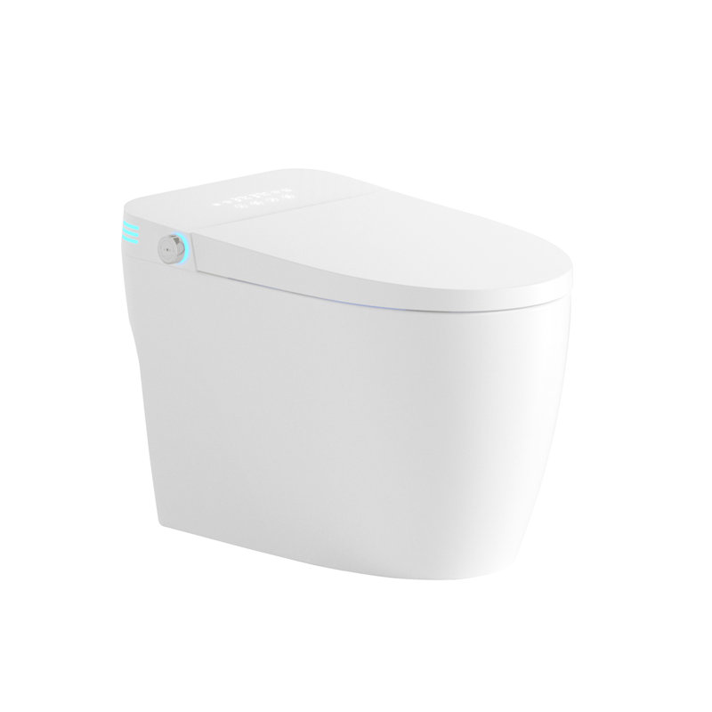 Bidet Smart Toilet, One - Piece Toilet Seat With Auto Flush And Open/Close, Heated Adjustable Temp, Warm Water Dry, Remote Control, Sensor For Automatic Cover, Multiple Wash Options Like Female Rear