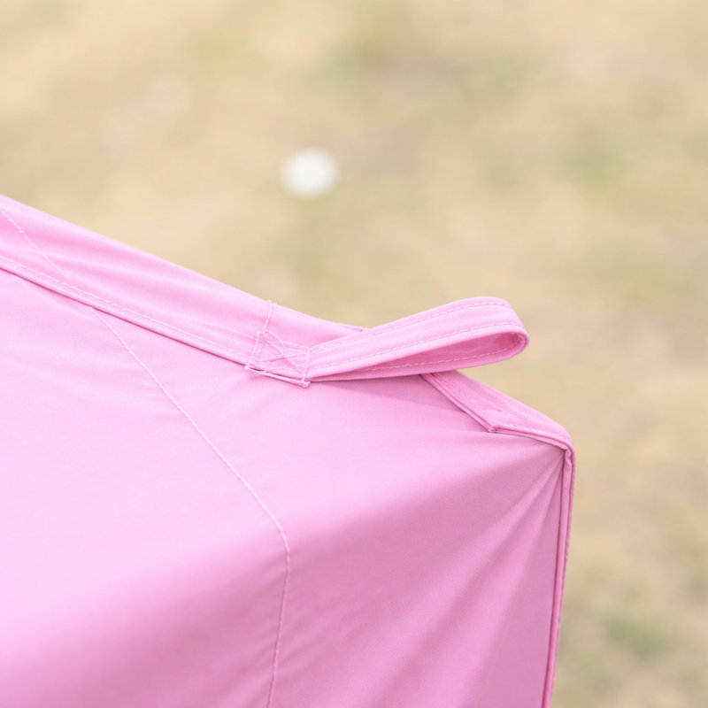 10X 10Ft Pop Up Gazebo Canopy Tent Removable Sidewall With Zipper,2Pcs Sidewall With Windows,With 4Pcs Weight Sand Bag,With Carry Bag-Pink