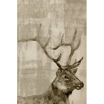 Curious Buck - Wrapped Canvas Painting