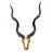 Arieona Real Kudu Skull on Wooden Shield