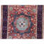 Hand Knotted Wool Area Rug in Red And Navy