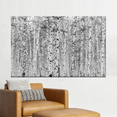 Elegant Birch Forest Landscape Art: Black & White Printed Canvas,1P GoldFramedCanvas
