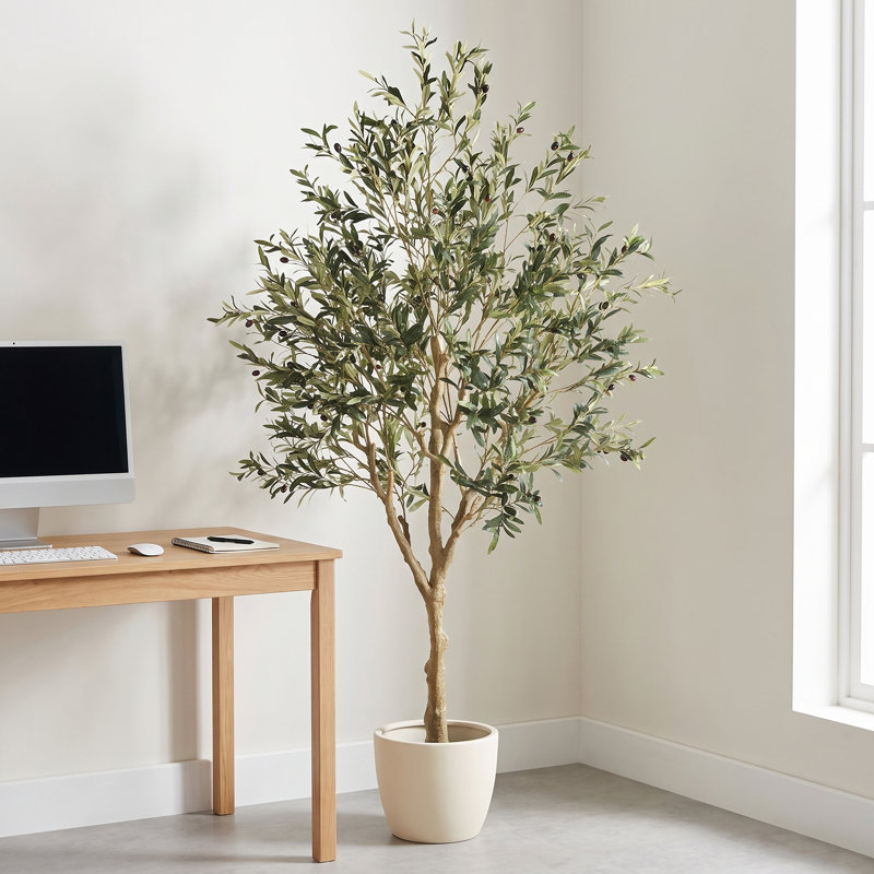 Faux olivier 7 pi en pot, olive artificielle réaliste pour la maison et le bureau, 84" x 25" x 25"
