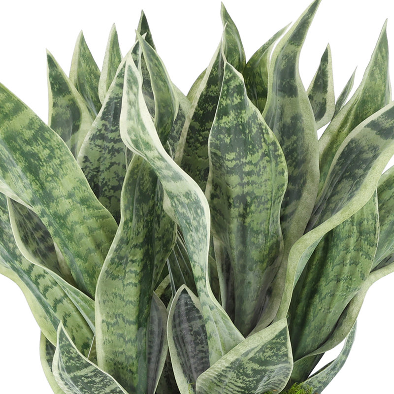 Faux Snake Plant in Fiberstone Planter