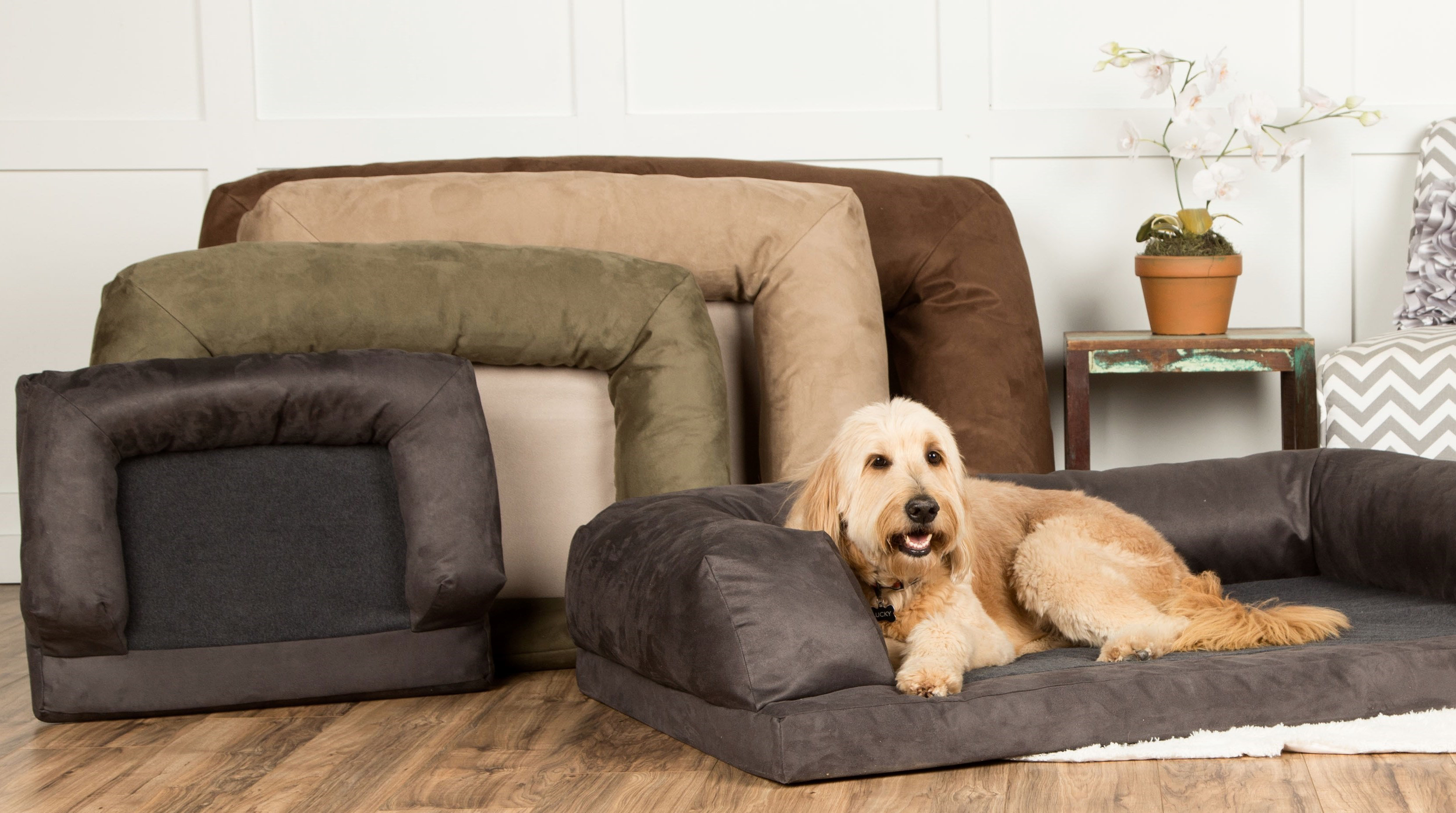 Archie & Oscar™ Hollymead Baxter Couch Microsuede Bolstered Dog Bed ...