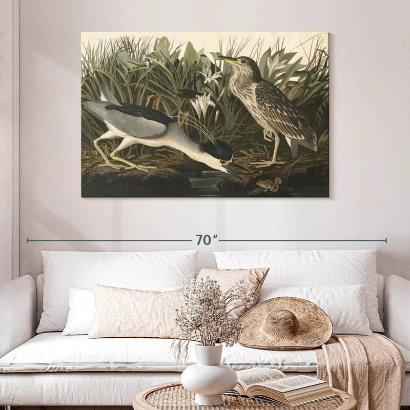 Héron nocturne des oiseaux d'Amérique, H 32 po x l 48 po