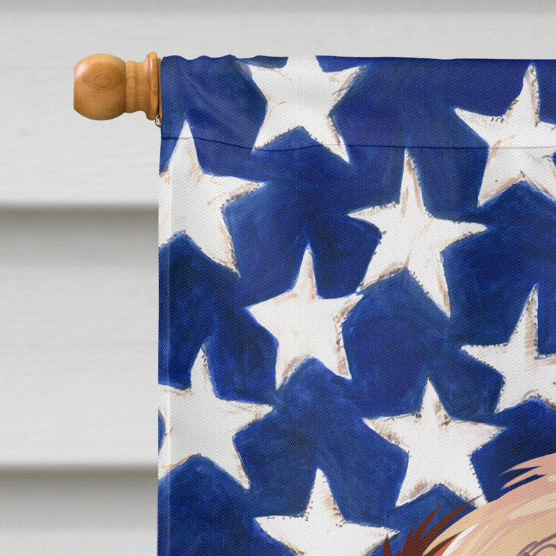 Polyester à 2 côtés 28 x 40 po drapeau maison, Chien de chasse estonien
