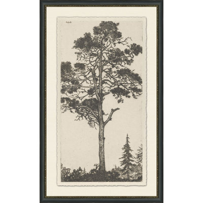 Tree Tops " Tree Tops 1 "