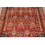 Tapis traditionnel en laine fait à la main 6 x 9