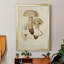 «Mushroom Variétés» - reproduction d'art sur toile-53188110-53188111