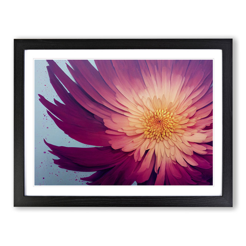 Splendorous Chrysanthemum Flower - Framed Print, Black, 46cm H x 64cm W x 2cm D