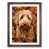 Walnut Framed
