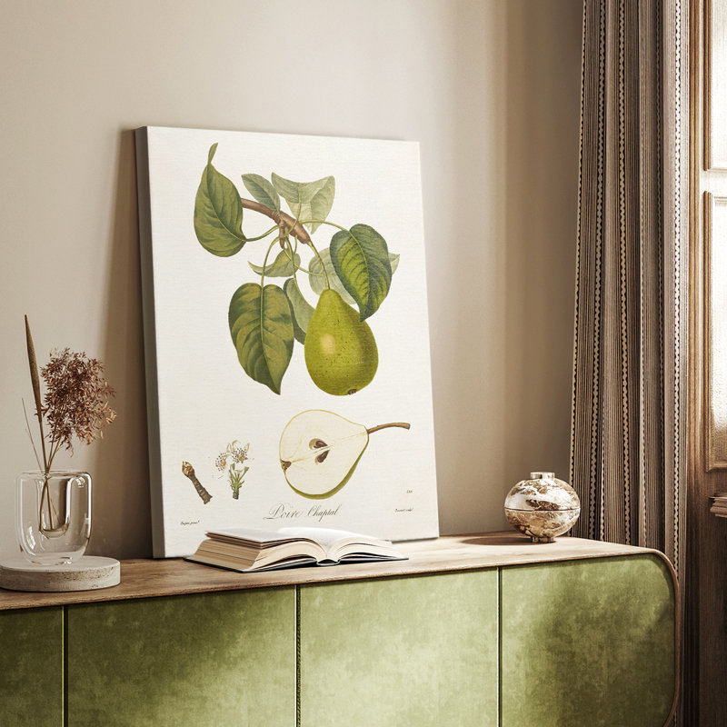 Poires rétro VI - galerie Cavas sur mesure, H 36 po x l 24 po