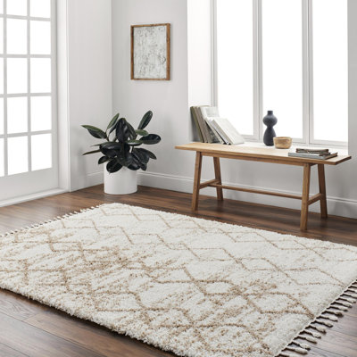Geometric Indoor Rug