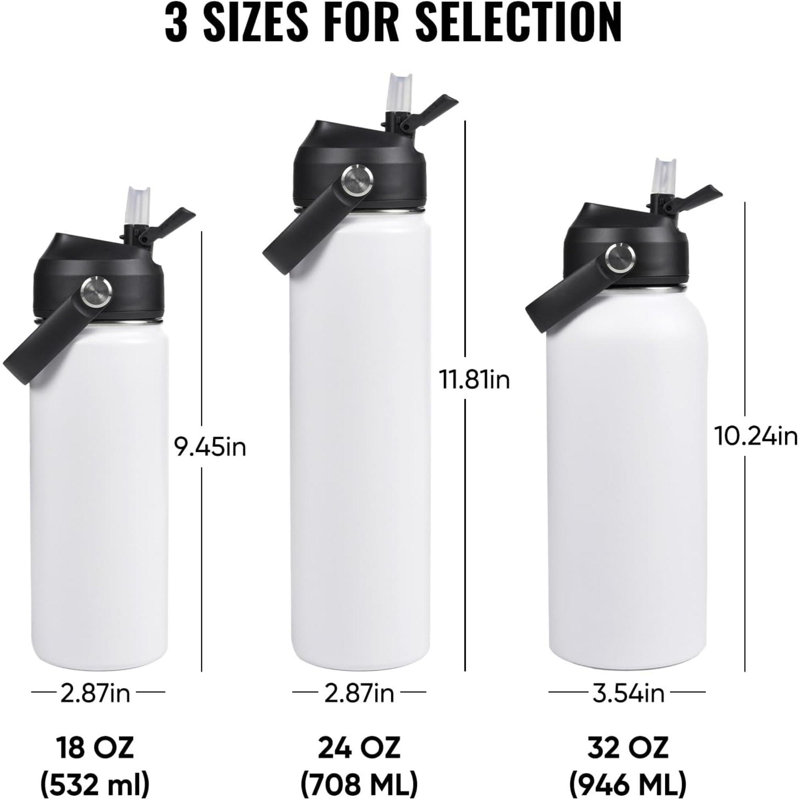 Stainless Steel Water Bottle