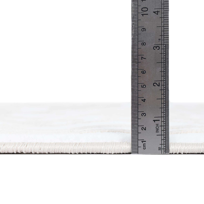 Airyana Oriental Indoor Rug, Square 10'8"