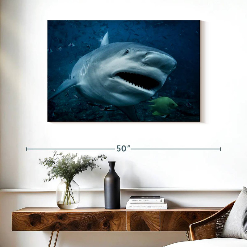 Brampt Bull Shark In Action, 26" H x 39" W
