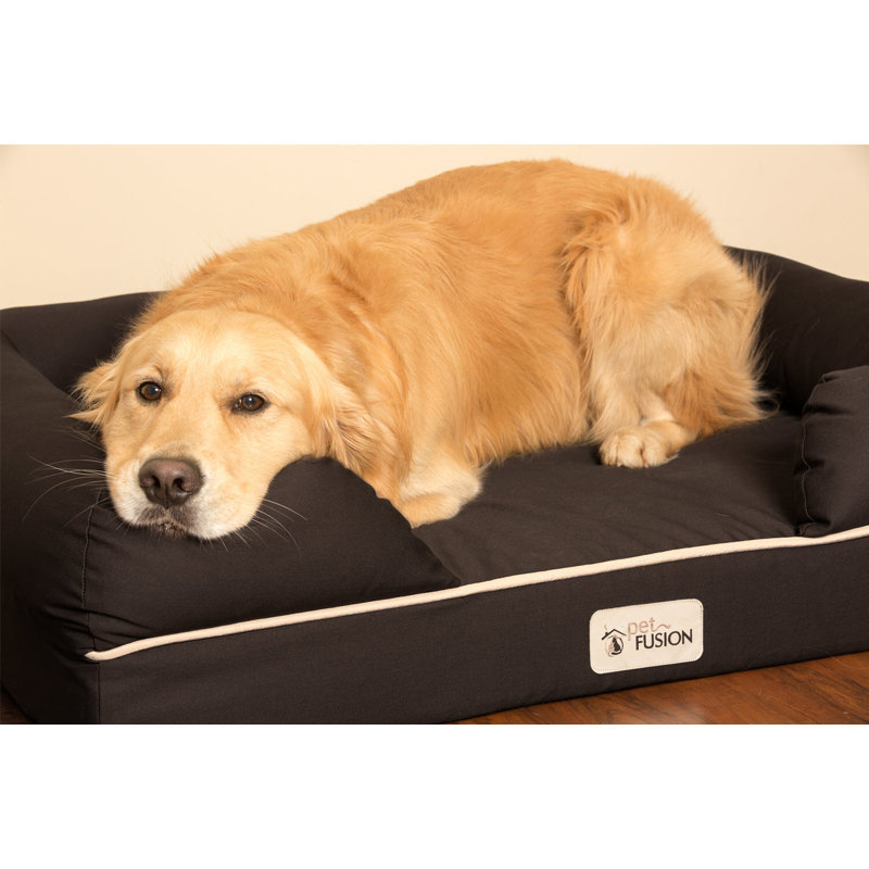 PetFusion Ultimate Dog Bed Replacement Cover Reviews Wayfair