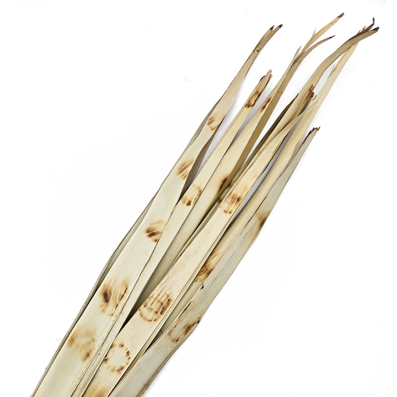 Sun Palm Leaves Raffia  Set of 6  39.5"  Burnt