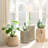 Glass Table Lamp-31274410