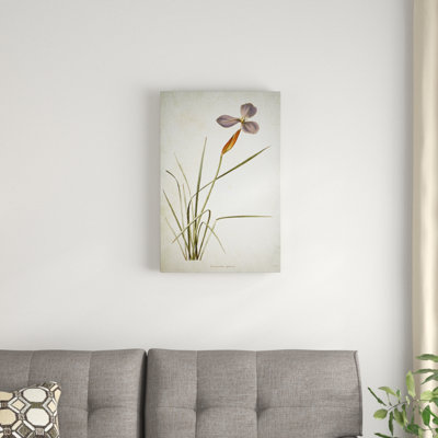 «Botanical Plate XV», reproduction d'impression sur toile