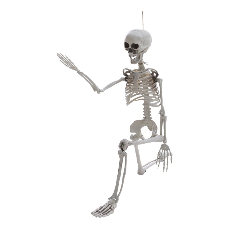 Zinia Halloween Decorative Accent