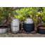 Pioneer 35ml Food Storage Container-47176002