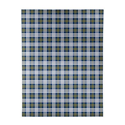 Plaid Indoor Rug