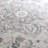 Katriena Orienta Gray Area Rug-234196967