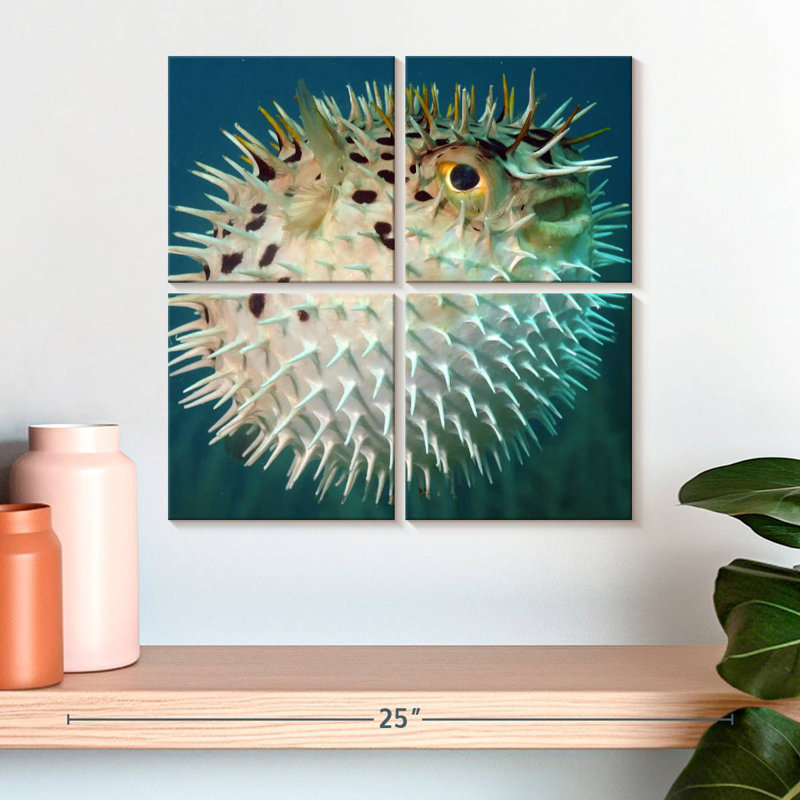 Brampt Puffer Fish, 18'' H x 18'' W