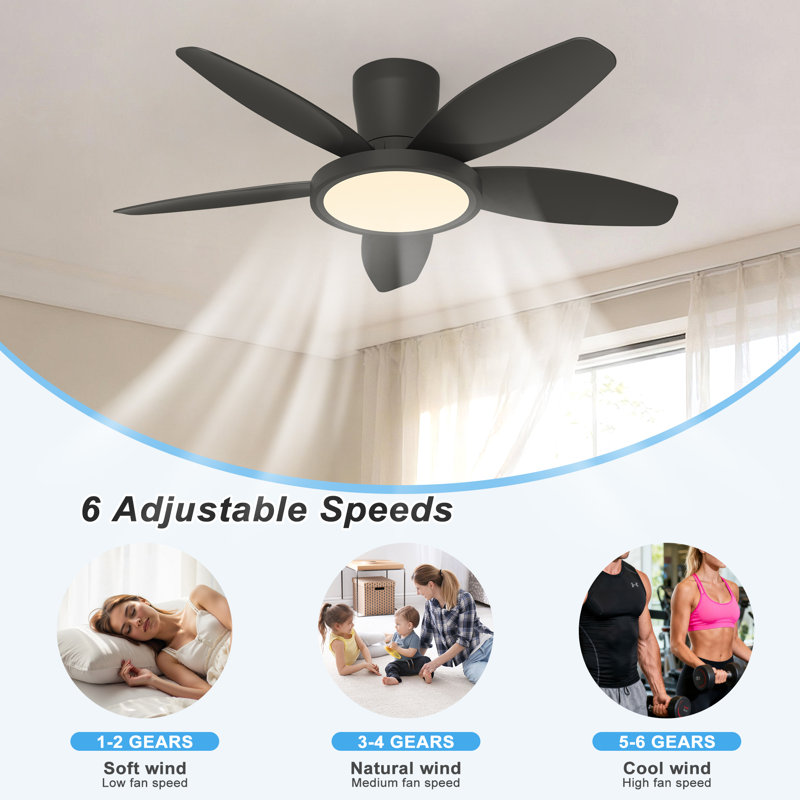 106cm Ceiling Fan with LED Lights, Black, Black