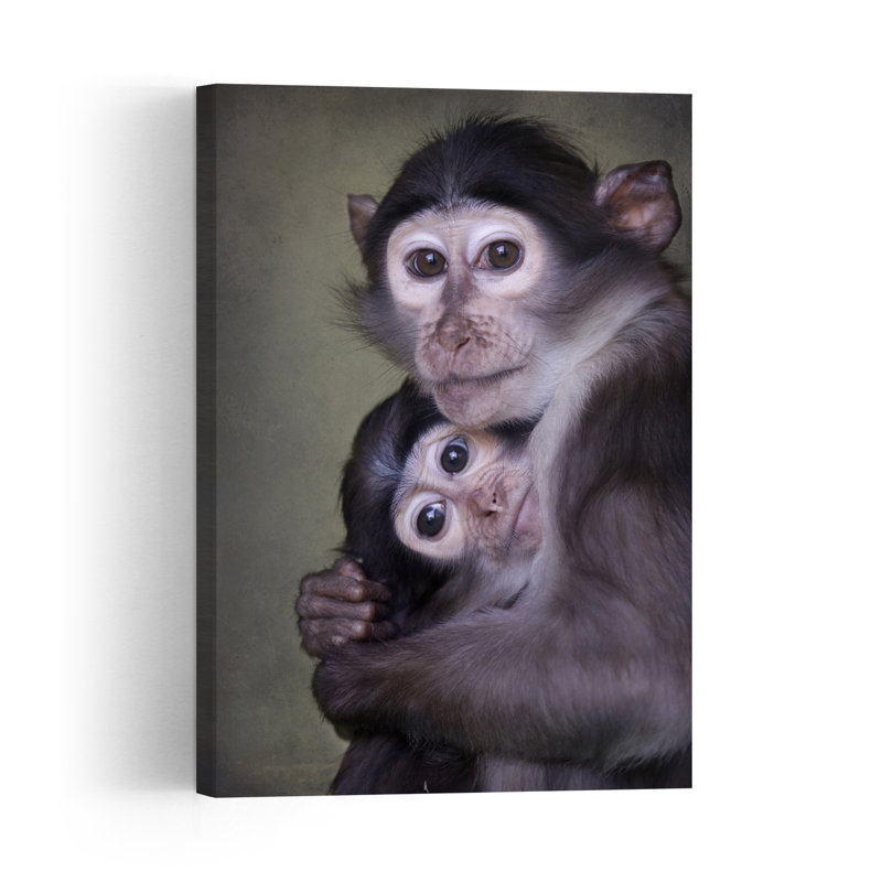 Tender Monkey Hug Peaceful Contemporary Monkey Nature Portrait Wall Art Print by Carles Just - Print, 91.44cm H x 60.96cm W