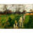 Home Fields (ca. 1885)