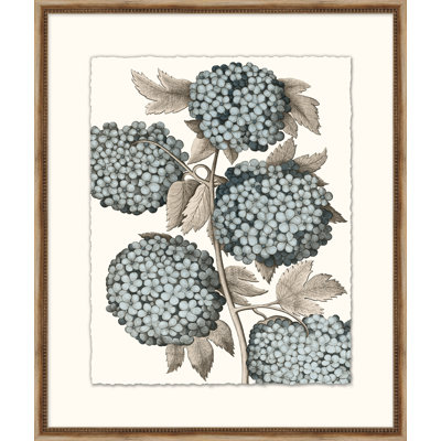 Azure Botanical 2 Print