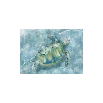 Green Sea Turtle Ocean Theme, Unframed Wall Art, 16 X 20