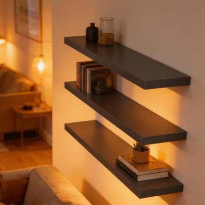 3.8cm H x 100cm W Bookcase