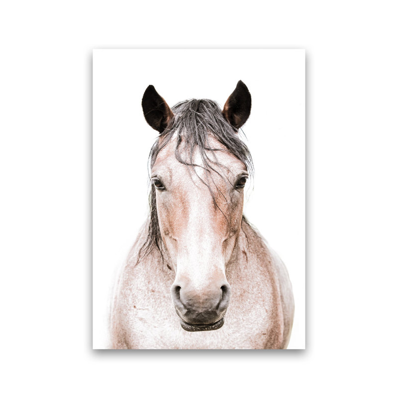Horse by Victoria Frost - Print, 30cm H x 21cm W x 1cm D, Unframed