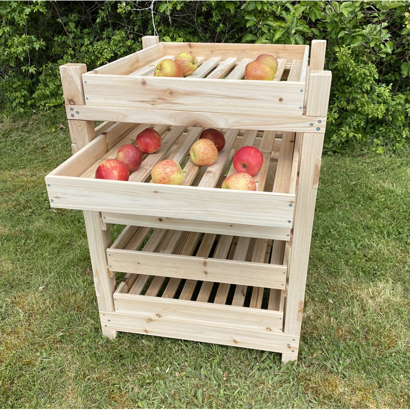 Whisnant 60cm W Solid Wood Shelving Unit