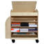 Maker's Double Sided 2 Compartment Teaching Cart with Casters