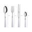 Sabre Paris - 4 Pieces Cutlery Set Icône-38755804