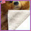Jolies couvertures de la famille des ours-126736189