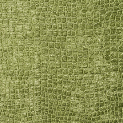 Tissu velours lime alligator