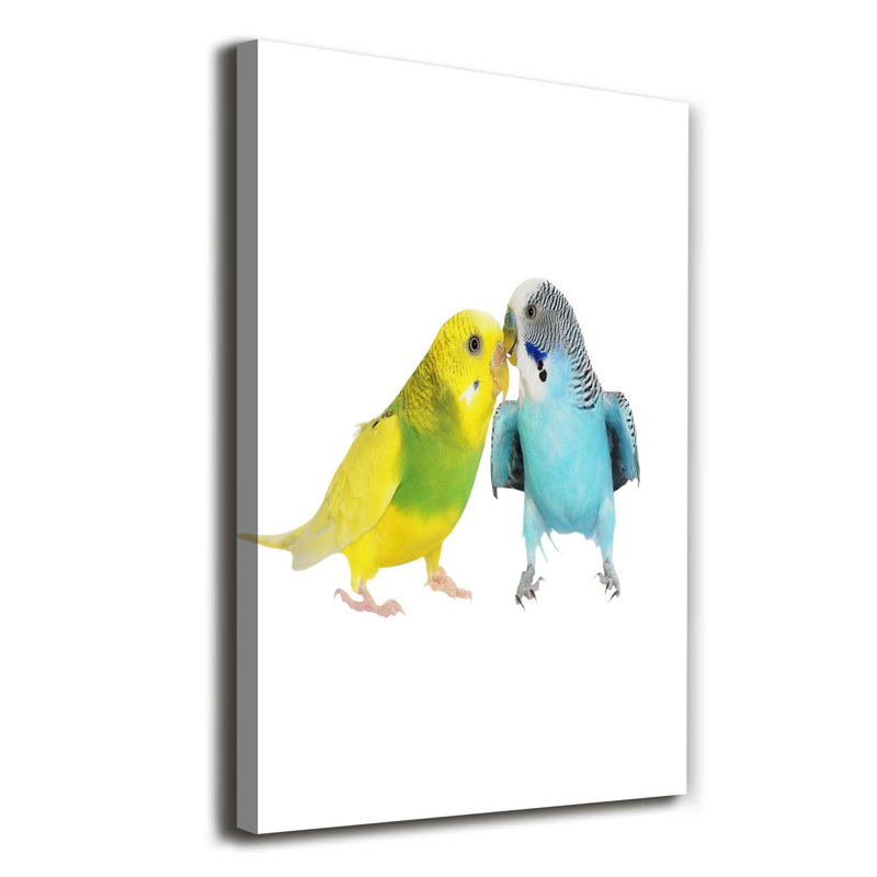 Budgies 1 Piece Wrapped Canvas Wall Art