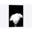 «Head in the Clouds», impression sur toile-32897514-72219849-72220584