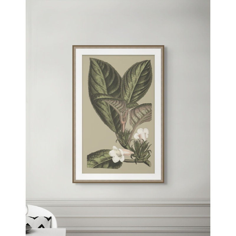 Botanical Jungle 3 Print, 45.75" H x 29.75" W